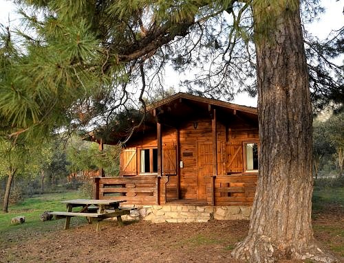 Cabañas Llano de los Conejos