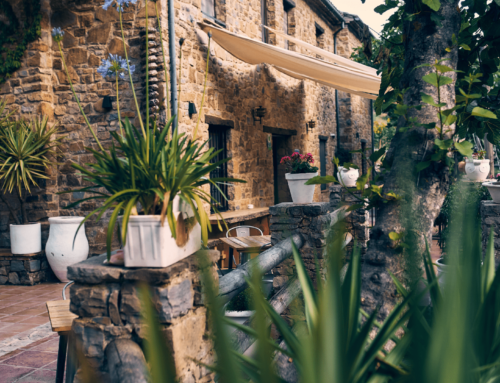 Eco Hotel Cueva del Gato