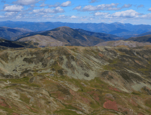 Camero Nuevo y las Viniegras